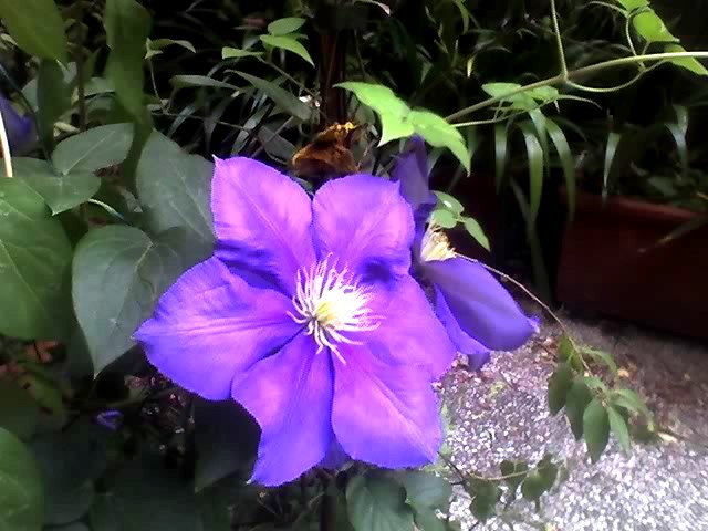  Giardino Liuzzo 1
